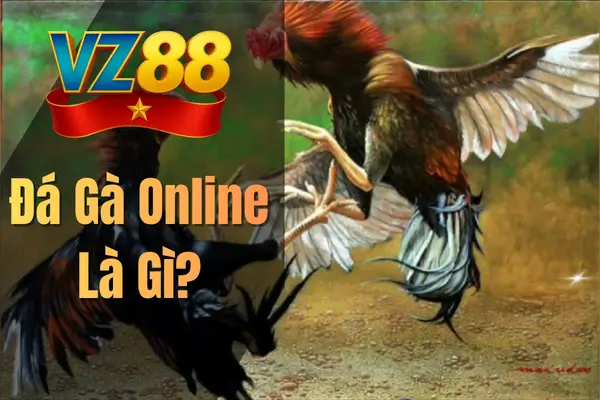 Đá Gà Online Là Gì?