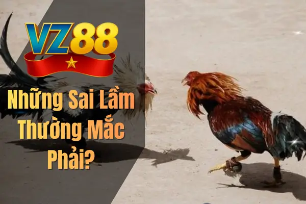 Những Sai Lầm Thường Mắc Phải?