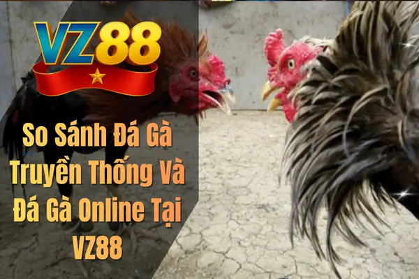 So Sánh Đá Gà Truyền Thống Và Đá Gà Online Tại VZ88