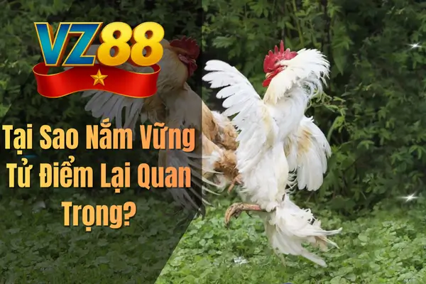 Tại Sao Nắm Vững Tử Điểm Lại Quan Trọng?